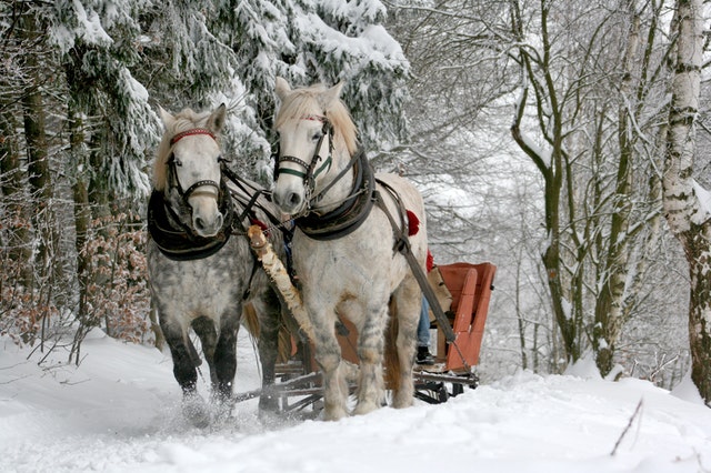 sleigh ride #bucketlist