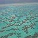 BucketList + Snorkel The Great Barrier Reef, ... = ✓