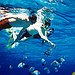 BucketList + Go Snorkeling In A Shipwreck = ✓