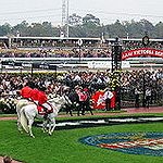 BucketList + Go To The Melbourne Cup. = ✓