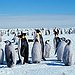 BucketList + See Play With Emperor Penguins = ✓