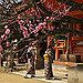 BucketList + Visit A Shinto Temple = ✓