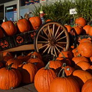 BucketList + Create An Amazing Halloween Event