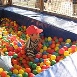 BucketList + Fill A Room With Ball Pit Balls