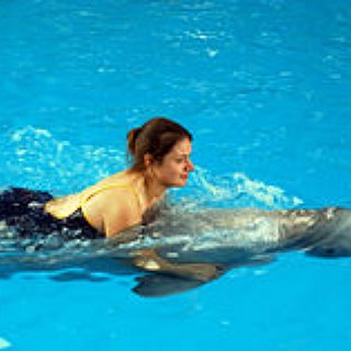 BucketList + Go Swim With Dolphins