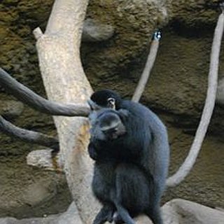 BucketList + Go To The Kansas City, Zoo