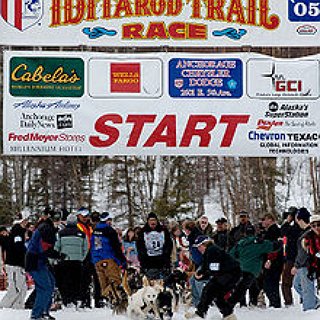 BucketList + See The Iditarod Dog Sled Race