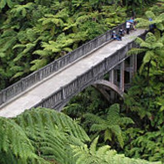 BucketList + Go To The End Of The Bridge To Nowhere In New Zealand