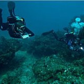 BucketList + Deep Sea Diving 