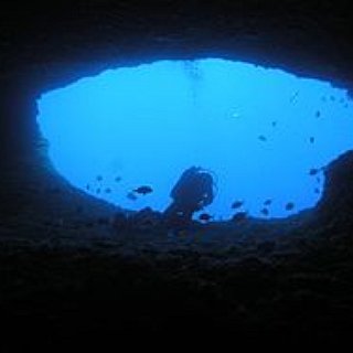 BucketList + Dive Fish Rock Cave