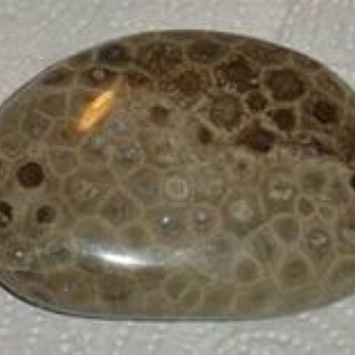 BucketList + Find A Petoskey Stone