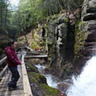 BucketList + Go To The White Mountain National Forest In Nh