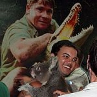 BucketList + Go To The Australia Zoo