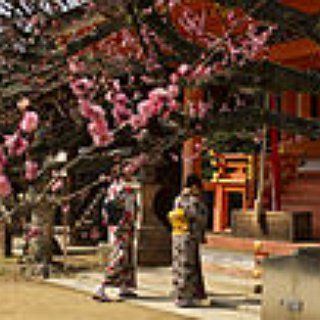 BucketList + Visit A Shinto Temple