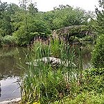 BucketList + Build A Pond In My ... = ✓