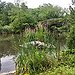 BucketList + Build A Pond In My ... = ✓