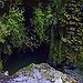 BucketList + Visit Waitomo Glowworm Caves, New ... = ✓