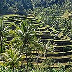 BucketList + Indonesia = ✓