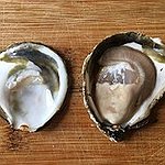 BucketList + Find A Pearl In An ... = ✓
