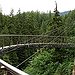 BucketList + Capilano Suspension Bridge, Vancouver, British = ✓