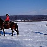 BucketList + Skijoring = ✓