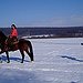 BucketList + Skijoring = ✓