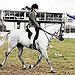 BucketList + Learn Horse Riding = ✓