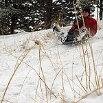 BucketList + Go Sledding Down A Hill ... = ✓