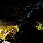 BucketList + Waitomo Glowworm Caves, New Zealand = ✓