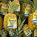 BucketList + Visit The Dole Plantation = ✓
