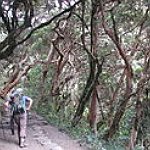 BucketList + Treck The Inca Trail = ✓