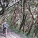 BucketList + Treck The Inca Trail = ✓