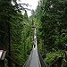BucketList + Walk Across Capilano Suspension Bridge = ✓