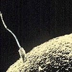 BucketList + Donate Sperm = ✓