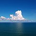 BucketList + Swim In An Ocean = ✓