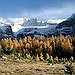 BucketList + See The Rockies = ✓