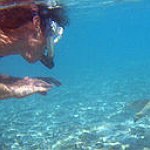 BucketList + Swim With Sharks = ✓