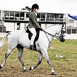 BucketList + Go Horseback Riding = ✓
