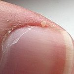 BucketList + Stop Biting My Nails. = ✓
