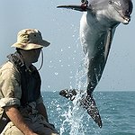 BucketList + Swim With Dolphins. = ✓