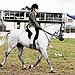 BucketList + Go Horseback Riding = ✓