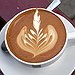 BucketList + Collect Coffee Cups From Starbucks ... = ✓