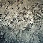 BucketList + Visit Dinosaur National Monument = ✓