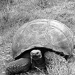 BucketList + Visit The Galapagos Islands = ✓