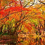 BucketList + Fall Bucket List = ✓
