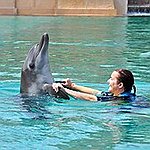 BucketList + Swim With Dolphins = ✓