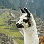 BucketList + Visit Machu Picchu, Peru = ✓