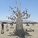 BucketList + Attend Burning Man Festival = ✓