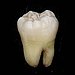 BucketList + Get My Teeth Bleached. = ✓