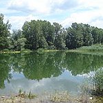 BucketList + Buy Lake House With Land ... = ✓